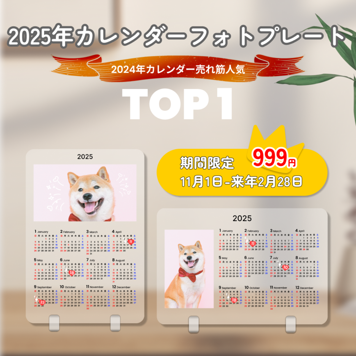 壁掛けカレンダー2025 SC（セブンカラー）／四六2切 | 壁掛け