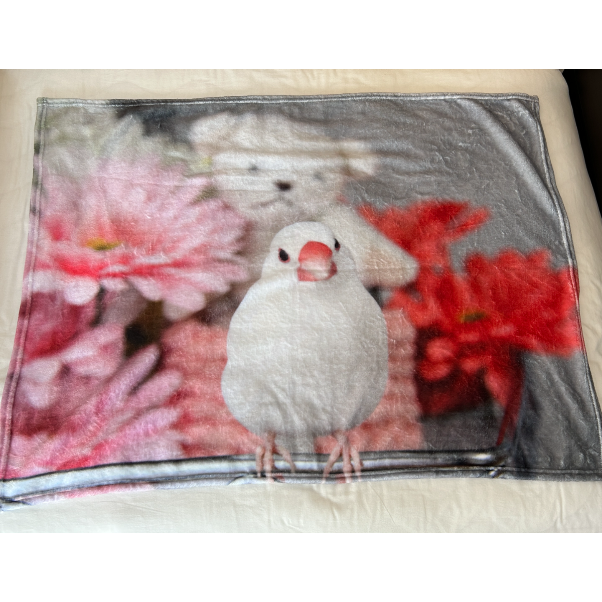 文鳥カノンのブランケット｜76*102cm・大人気・限定商品|undefined