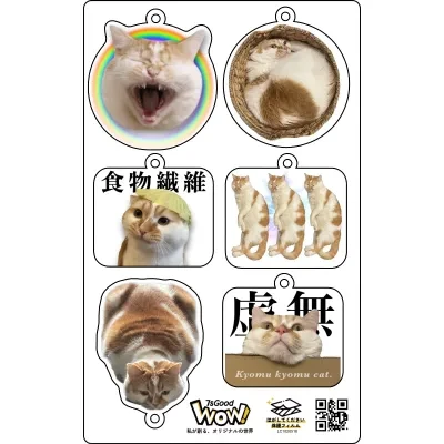 琥珀詰め合わせセット・レインボー琥珀・箱入りCAT・食物繊維・琥珀揃い・マボロシツチノコCAT・虚無虚無CAT