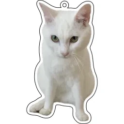 skuImage