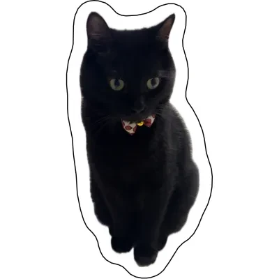 むぎちゃんクッション｜片面印刷・43cm・裏面グレー