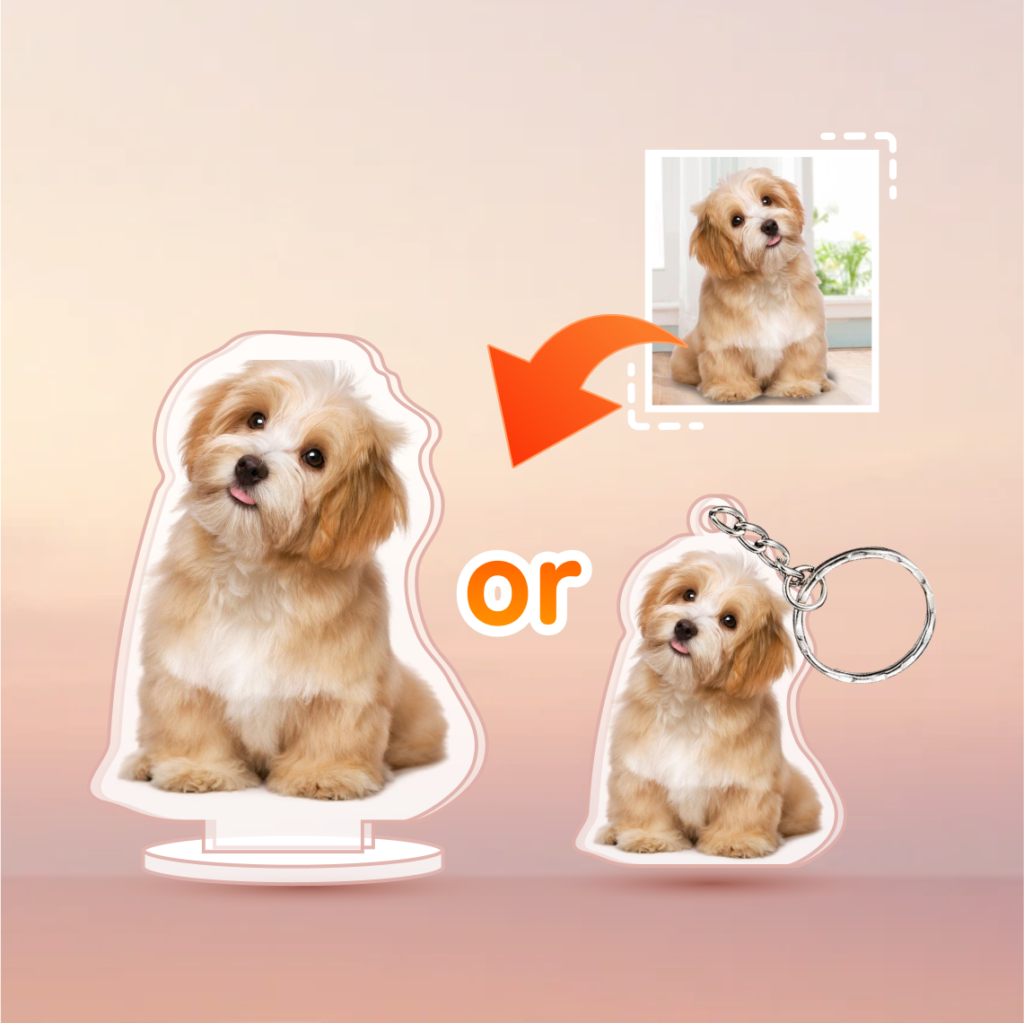 「高評価！」注目のレビュ 831485302140006400.png? その他