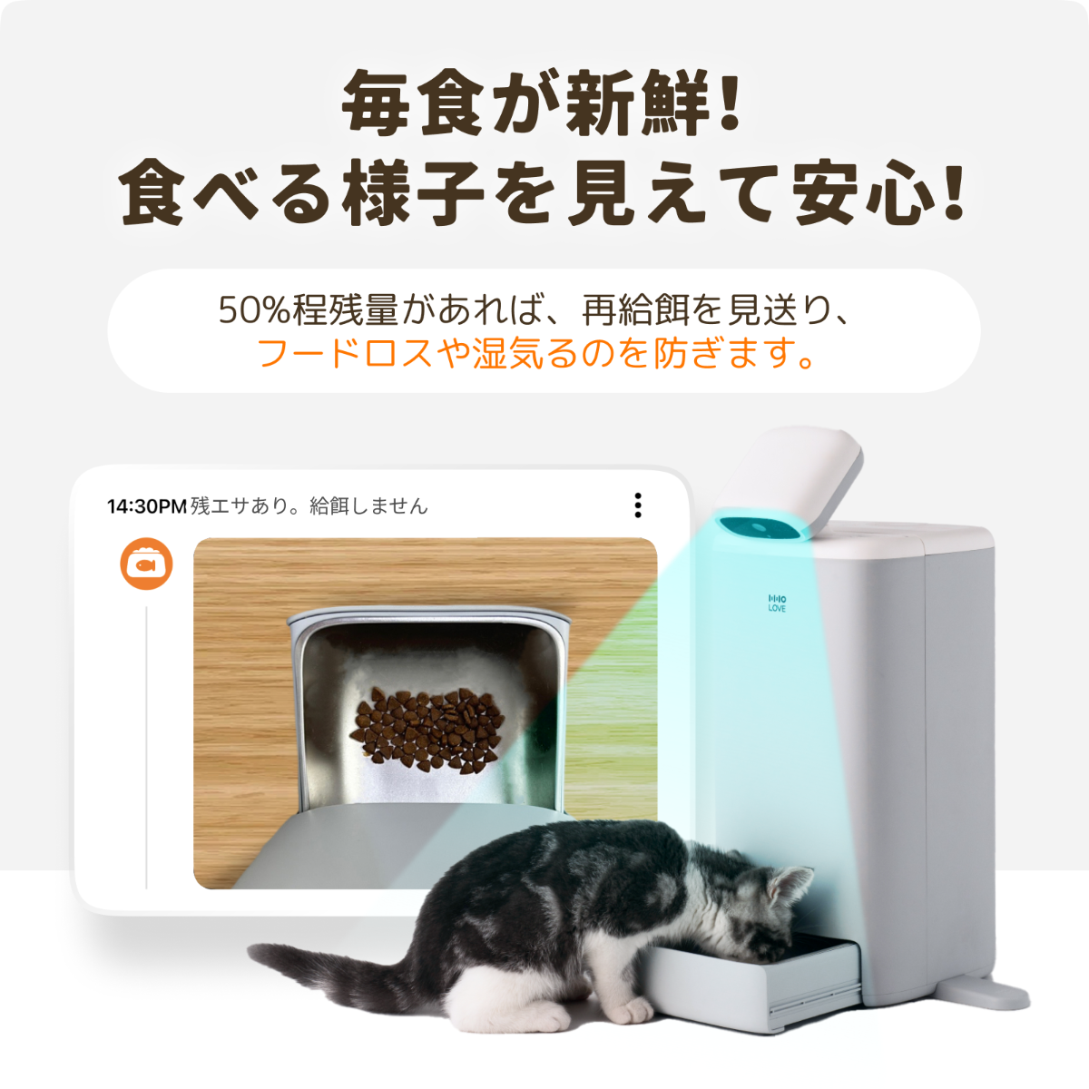 【HHOLOVE日本大人気】O Sitter猫用スマートコンパニオンロボット ｜ AI・カメラ付・犬、猫留守番・双方向会話・自動給餌器 ・wifi対応|undefined
