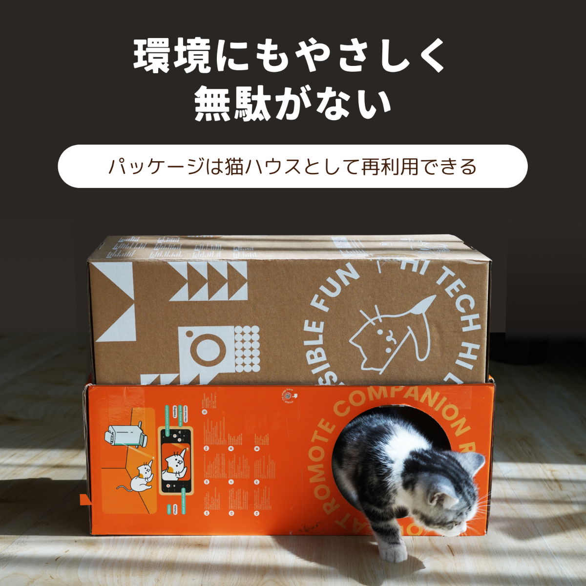 【HHOLOVE日本大人気】O Sitter猫用スマートコンパニオンロボット ｜ AI・カメラ付・犬、猫留守番・双方向会話・自動給餌器 ・wifi対応|undefined