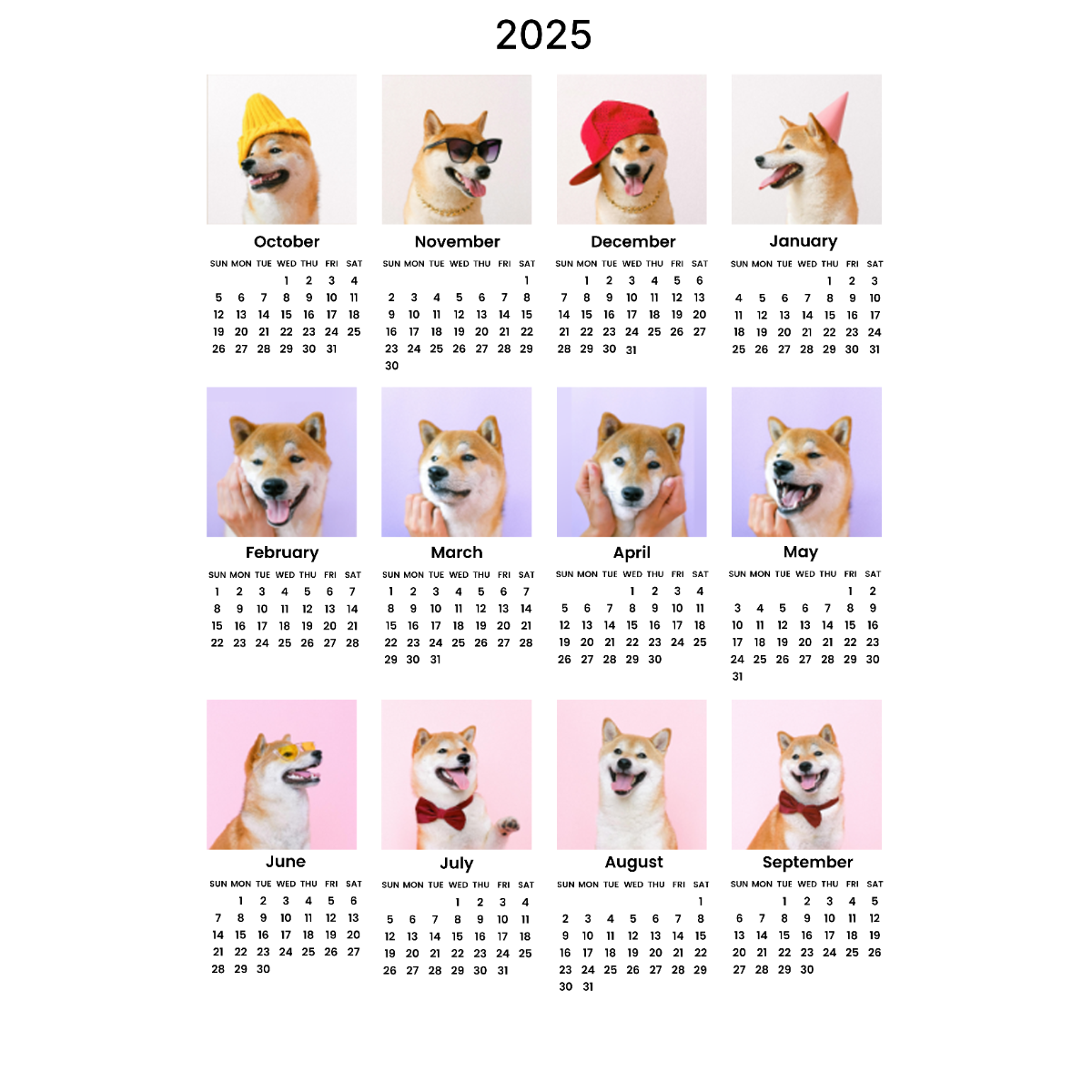 2025年12枚写真カレンダー｜999円期間限定・2025年10月始まり/2026年1月始まり・記念日や誕生日にマークをつける・アクリル・縦型・12枚写真|undefined