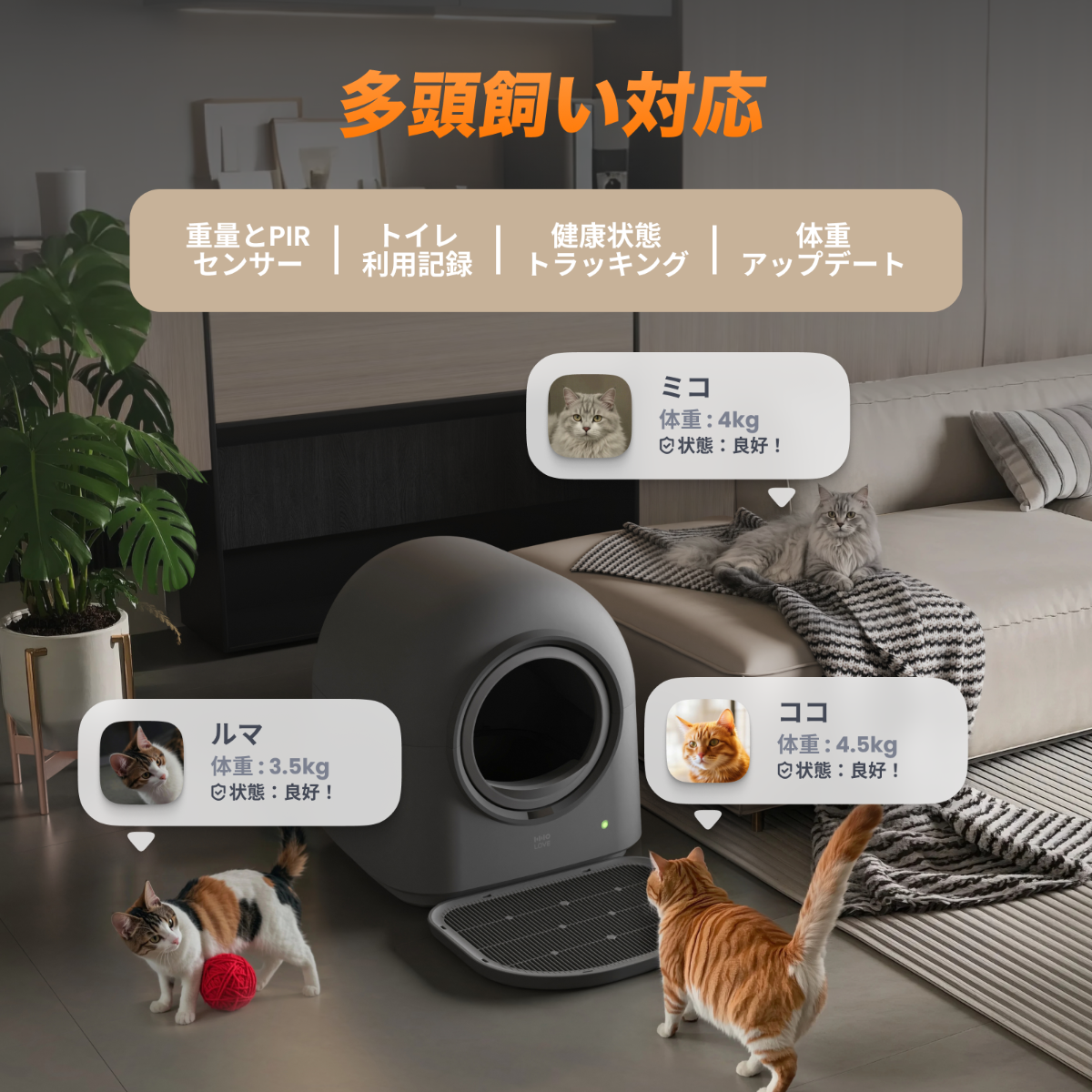 【日本初登場】HHOLOVE 自動猫トイレ Pro L1 ダークグレー\MakuakeカテゴリTOP 3/全額ポイント還元・1年間付属品無料｜最新スマート猫トイレ｜全自動清掃｜スマホ遠隔操作iOS/Android対応｜自動脱臭｜多頭飼い対応｜日本語説明書付き｜1年保証｜国内発送|undefined
