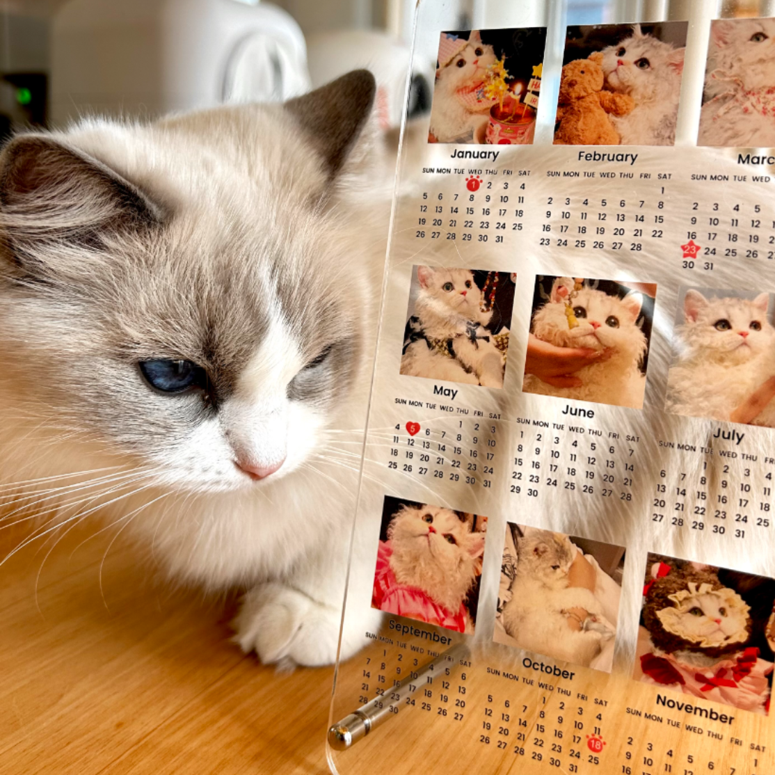 12枚写真カレンダー｜2025年10月始まり/2026年1月始まり・記念日や誕生日にマークをつける・アクリル・縦型・12枚写真・ライト|undefined