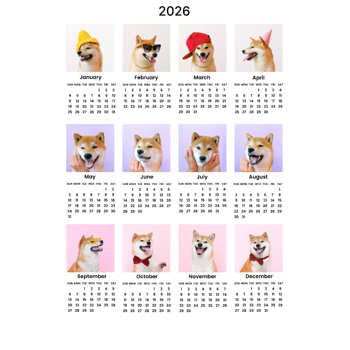 12枚写真カレンダー｜2025年10月始まり/2026年1月始まり・記念日や誕生日にマークをつける・アクリル・縦型・12枚写真・ライト|undefined