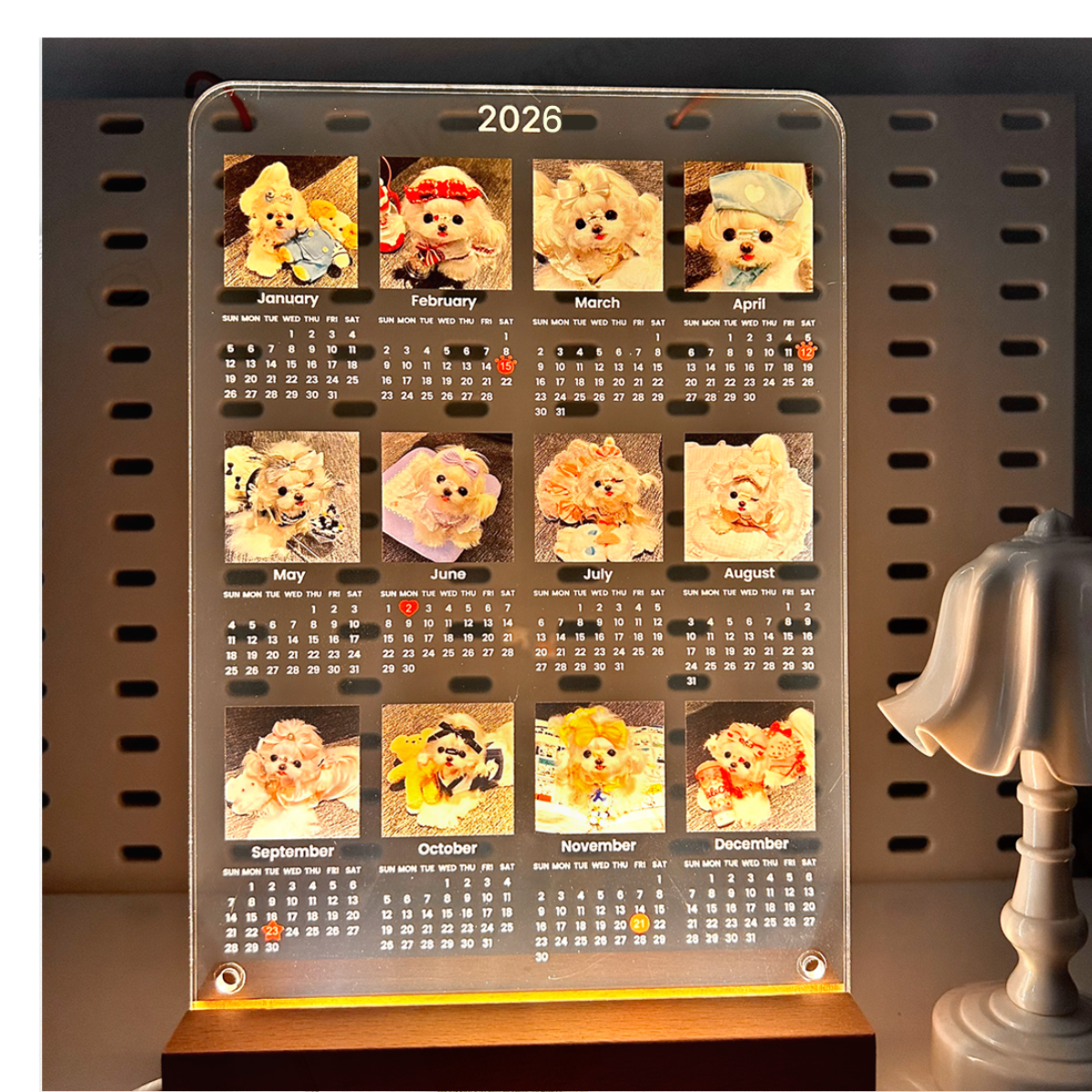 12枚写真カレンダー｜2025年10月始まり/2026年1月始まり・記念日や誕生日にマークをつける・アクリル・縦型・12枚写真・ライト|undefined