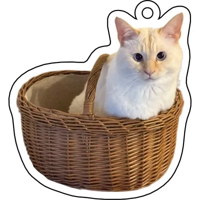 ちっさバスケット｜オリジナル・猫