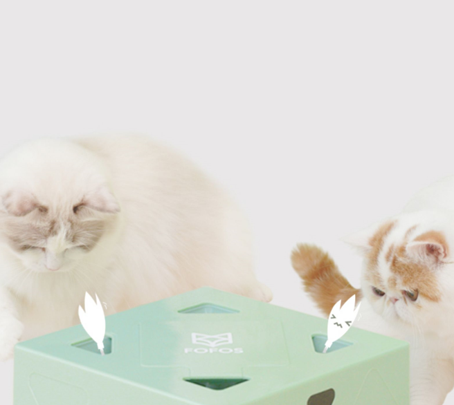 『人気応援商品』猫のおもちゃマジックボックス｜猫ちゃんを飼っている方やプレゼントにも！