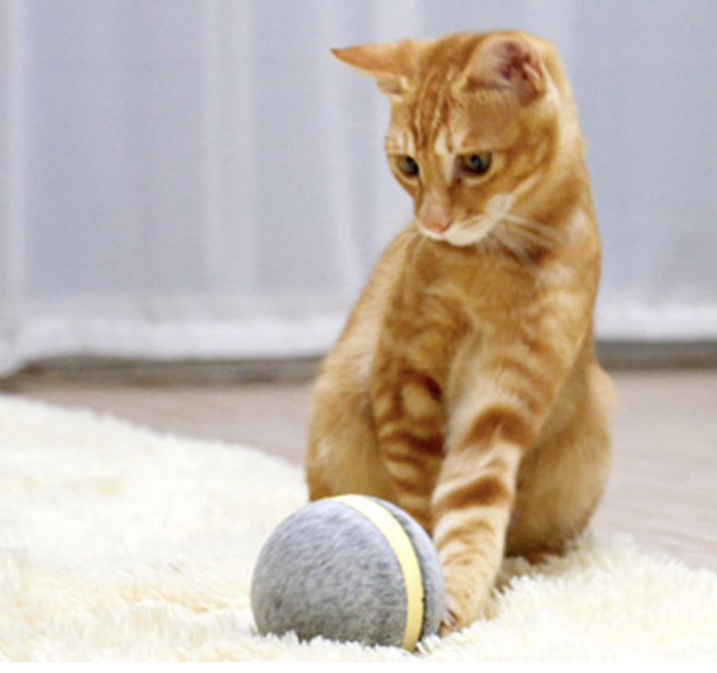 猫専用自動ボール：猫ちゃんと一緒に思う存分遊ぼう