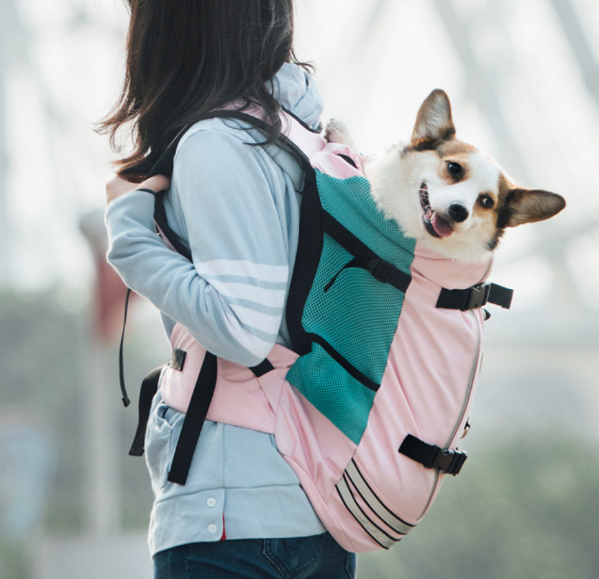 『人気応援商品』中・大型犬用バックパック｜ペットちゃんと共に過ごす快適時間をたのしむことができる♪