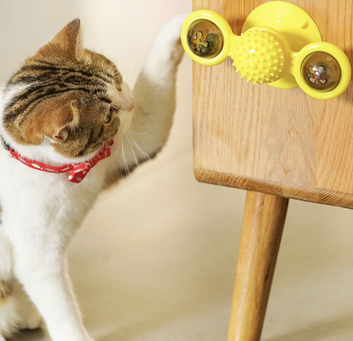 猫風車のおもちゃ｜猫の運動不足・ストレス解消に欠かせない「猫用おもちゃ」