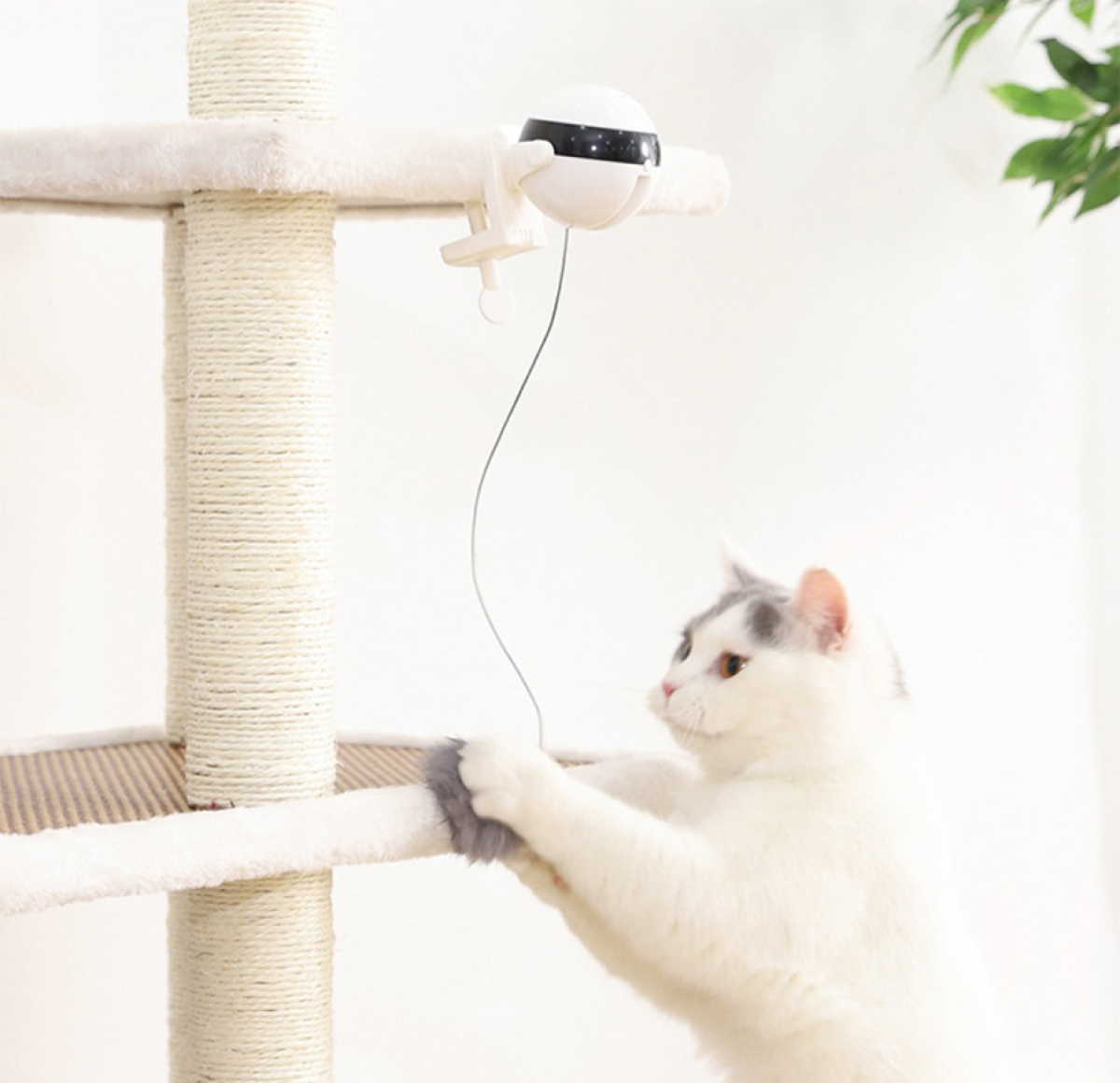 猫用電動ボールおもちゃ｜ボールが上下に移動します！|undefined