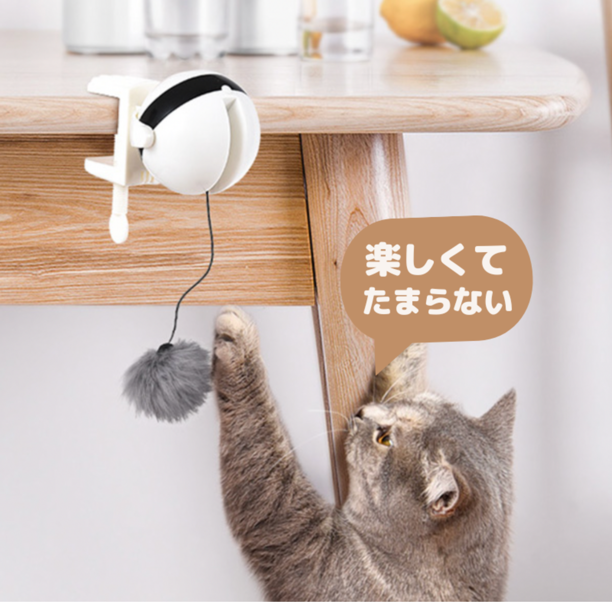 猫用電動ボールおもちゃ｜ボールが上下に移動します！|undefined