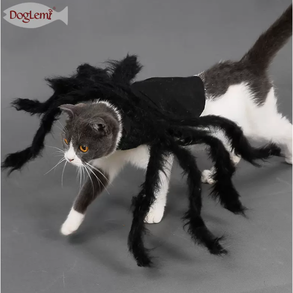 猫用コスプレ衣装｜蜘蛛でドレスアップすることはあなたのペットをより特別にすることができます。