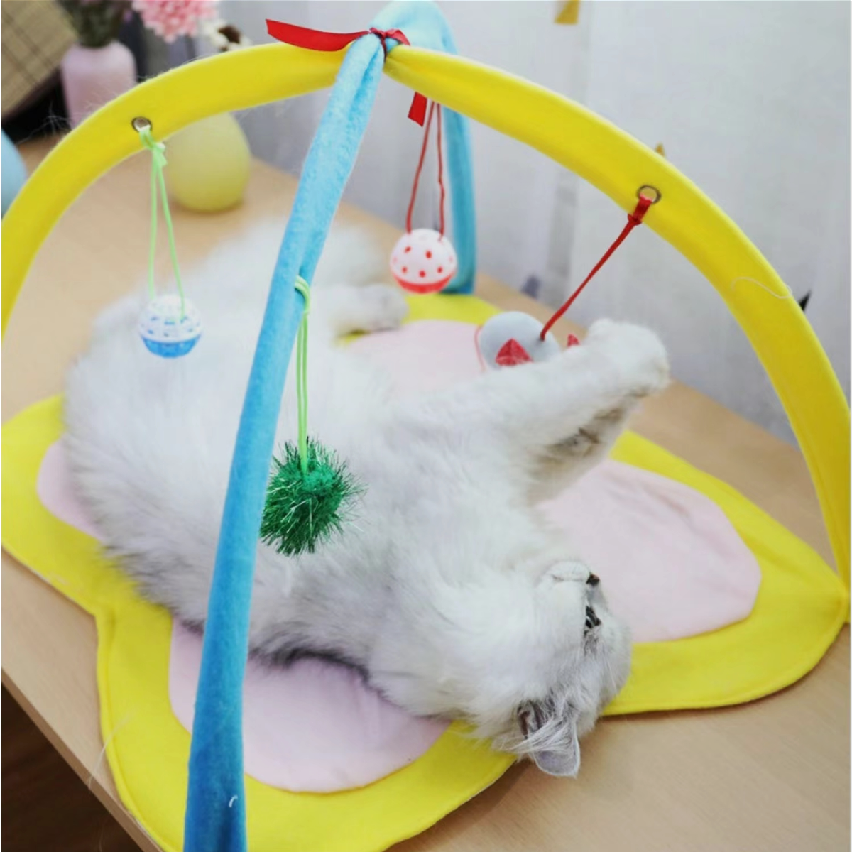 面白い猫のテント 4種類のおもちゃ付き｜横になったり遊んだり、おもちゃを持ち込んで猫の注意を引く|undefined