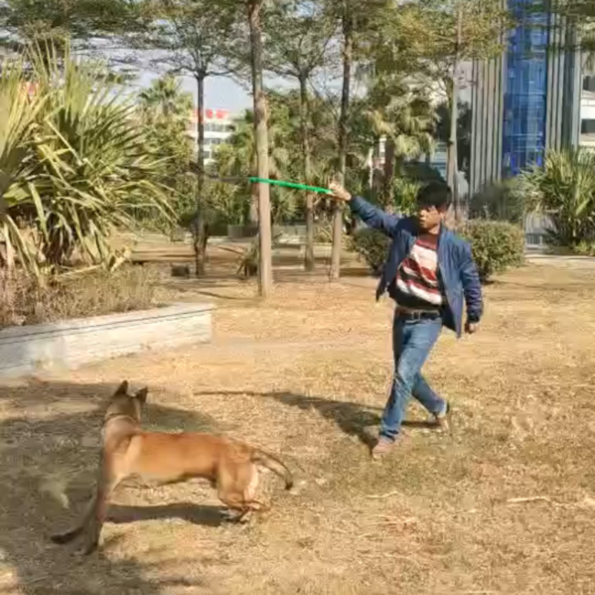 伸縮できる 犬用釣竿おもちゃ｜噛みおもちゃ 犬訓練棒 運動不足解消|undefined