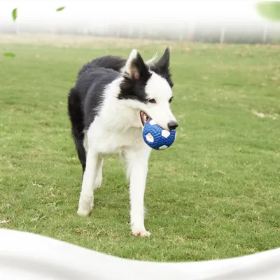 犬用おもちゃ・音の出るおもちゃ・ボール・サッカーボール・テディベア・ゴールデンレトリバー・大型犬・噛む・しつけ・遊び道具