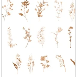 skuImage