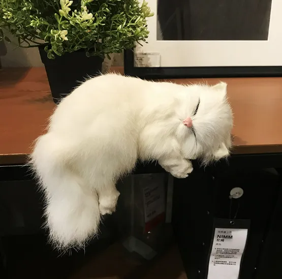 image.png?x-oss-process=image/format,webp