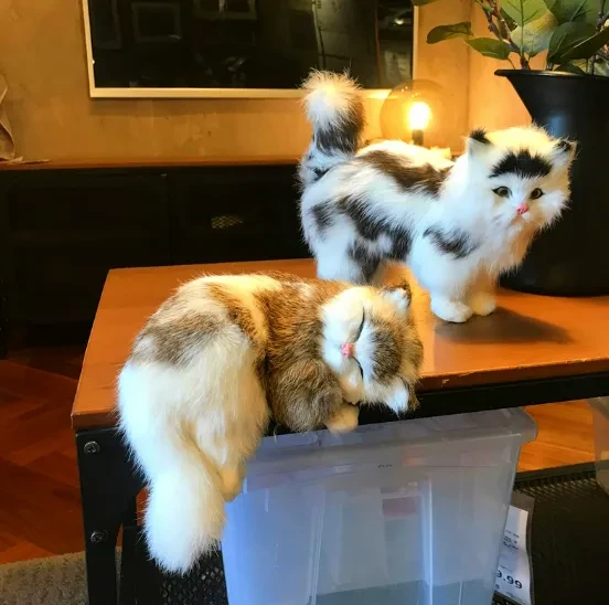 image.png?x-oss-process=image/format,webp