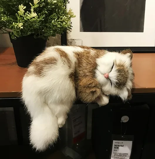 image.png?x-oss-process=image/format,webp