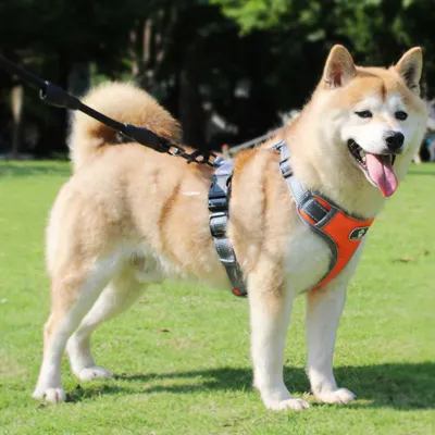 負担軽減犬用ハーネス｜ハーネスリード 飛び出し防止 通気性良い