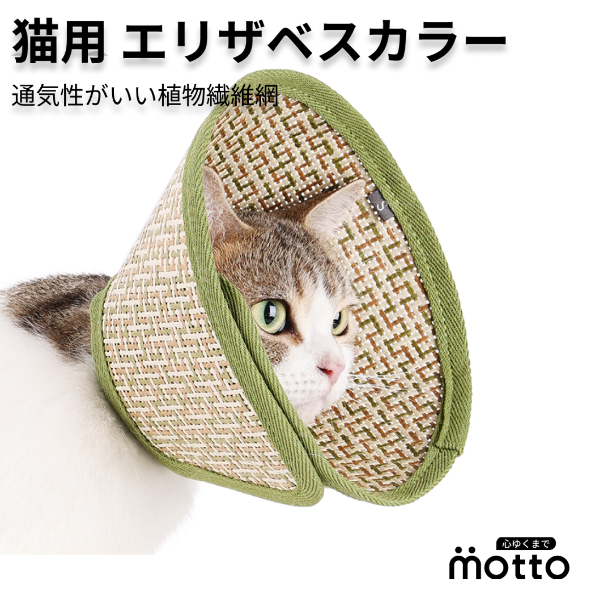 ネコ様への専用ページ box21 二つ折り財布 牛革 本革 猫 ネコ ボックス21 Juju&beck