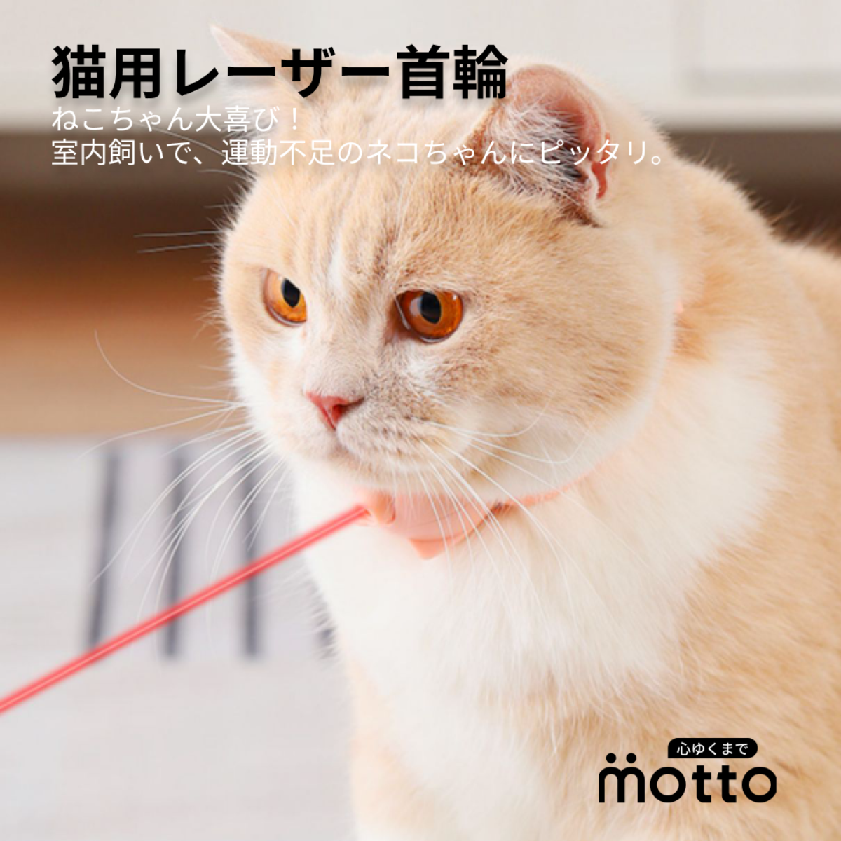 猫用首輪シュシュ 猫・ 子猫 ・犬 No.947M 鈴・中 - 通販 - guianegro