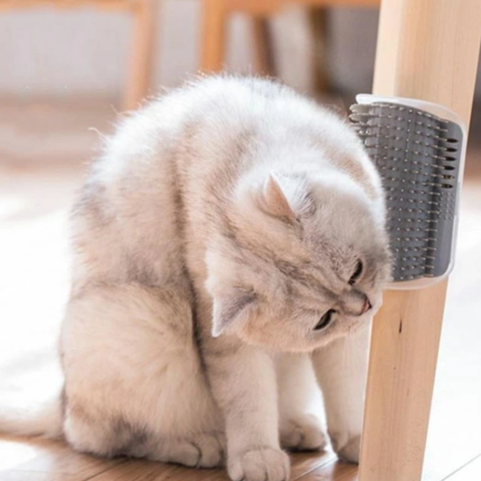  『飼い主様必見！』コーナー ペット用ブラシ（2点セット）｜猫ちゃん自分で毛づくろいブラシ！|undefined