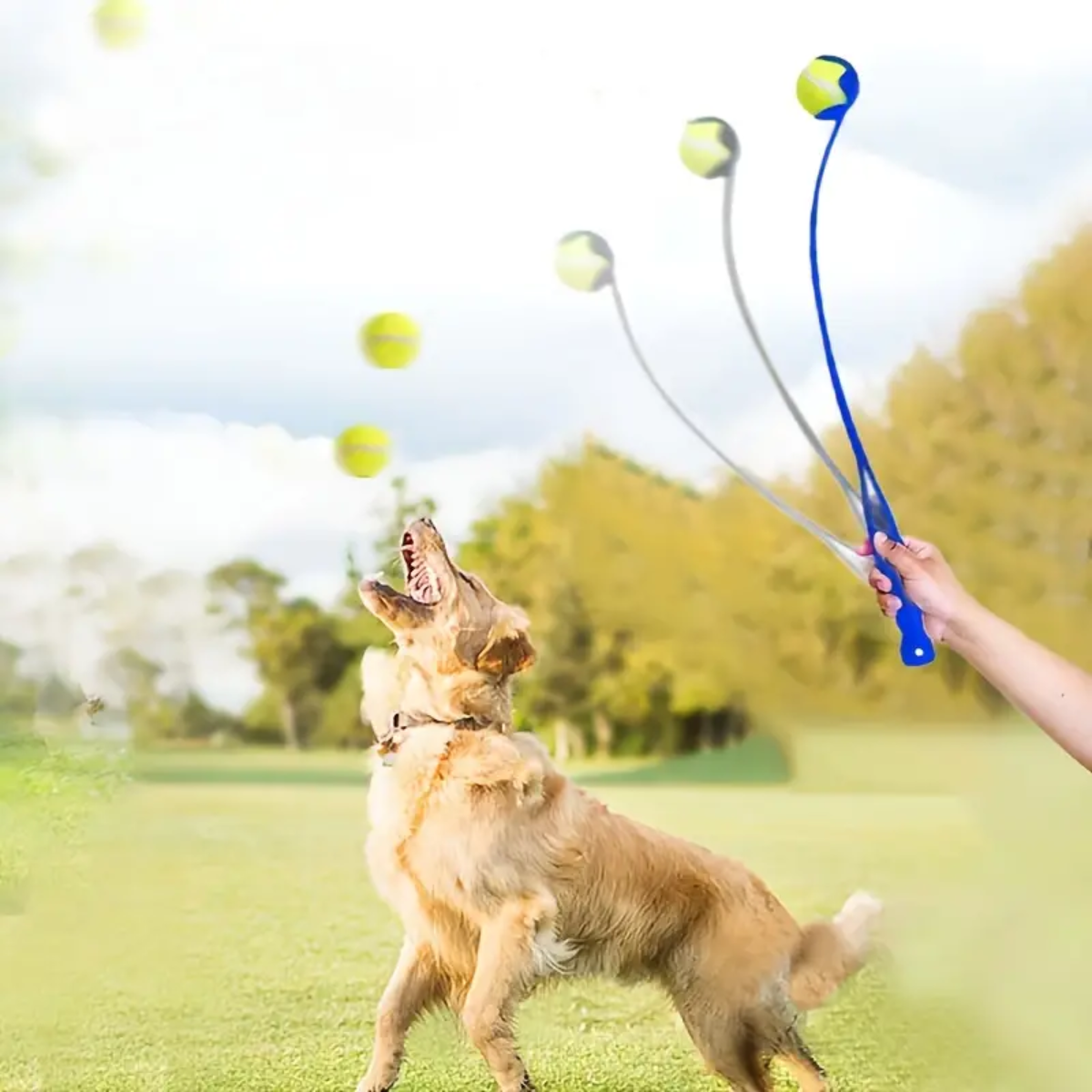 ペットスポーツボールランチャー|犬ボール投げ・犬のトレーニング・おもちゃ・犬用|undefined