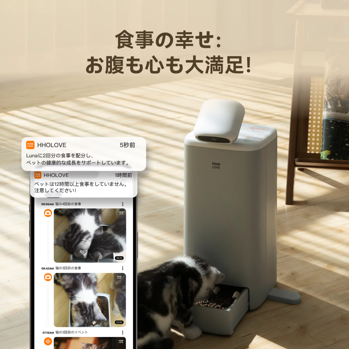 【HHOLOVE日本大人気】O Sitter猫用スマートコンパニオンロボット ｜ AI・カメラ付・犬、猫留守番・双方向会話・自動給餌器 ・wifi対応|undefined
