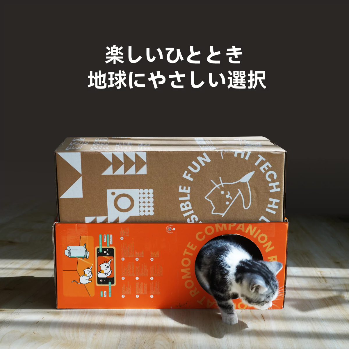 【HHOLOVE日本大人気】O Sitter猫用スマートコンパニオンロボット ｜ AI・カメラ付・犬、猫留守番・双方向会話・自動給餌器 ・wifi対応|undefined