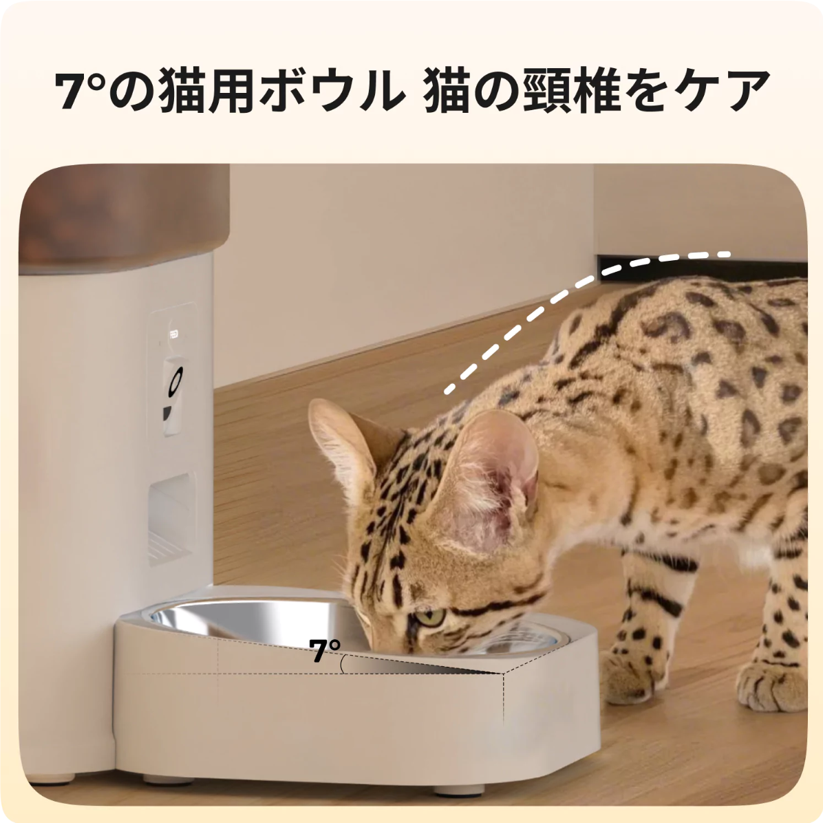HHOLOVE】自動給餌器｜カメラ付き・猫犬用・スマホ・見守り・自動餌
