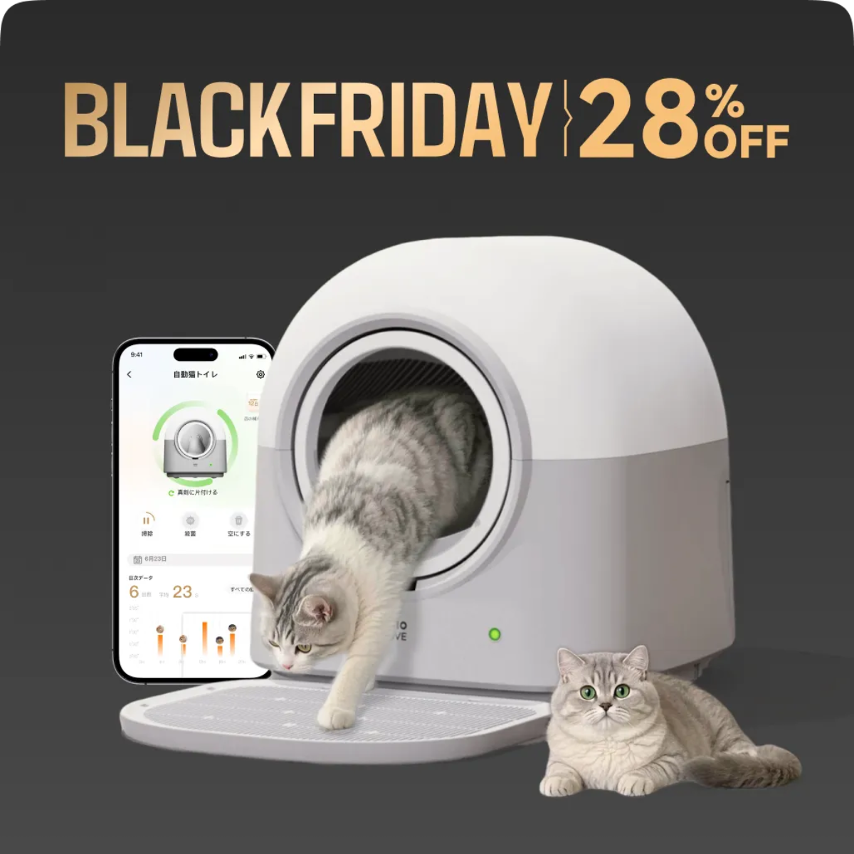 HHOLOVE 自動猫トイレ Pro ホワイト｜掃除不要・脱臭・多頭飼い対応