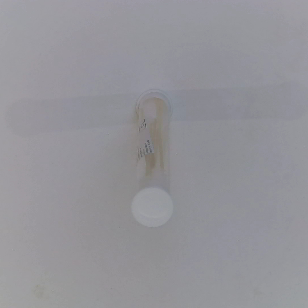 羽毛付き煤竹耳かき｜耳の奥に入れてゆっくり回ってくすぐったい感じがある　気持ちよいもの|undefined