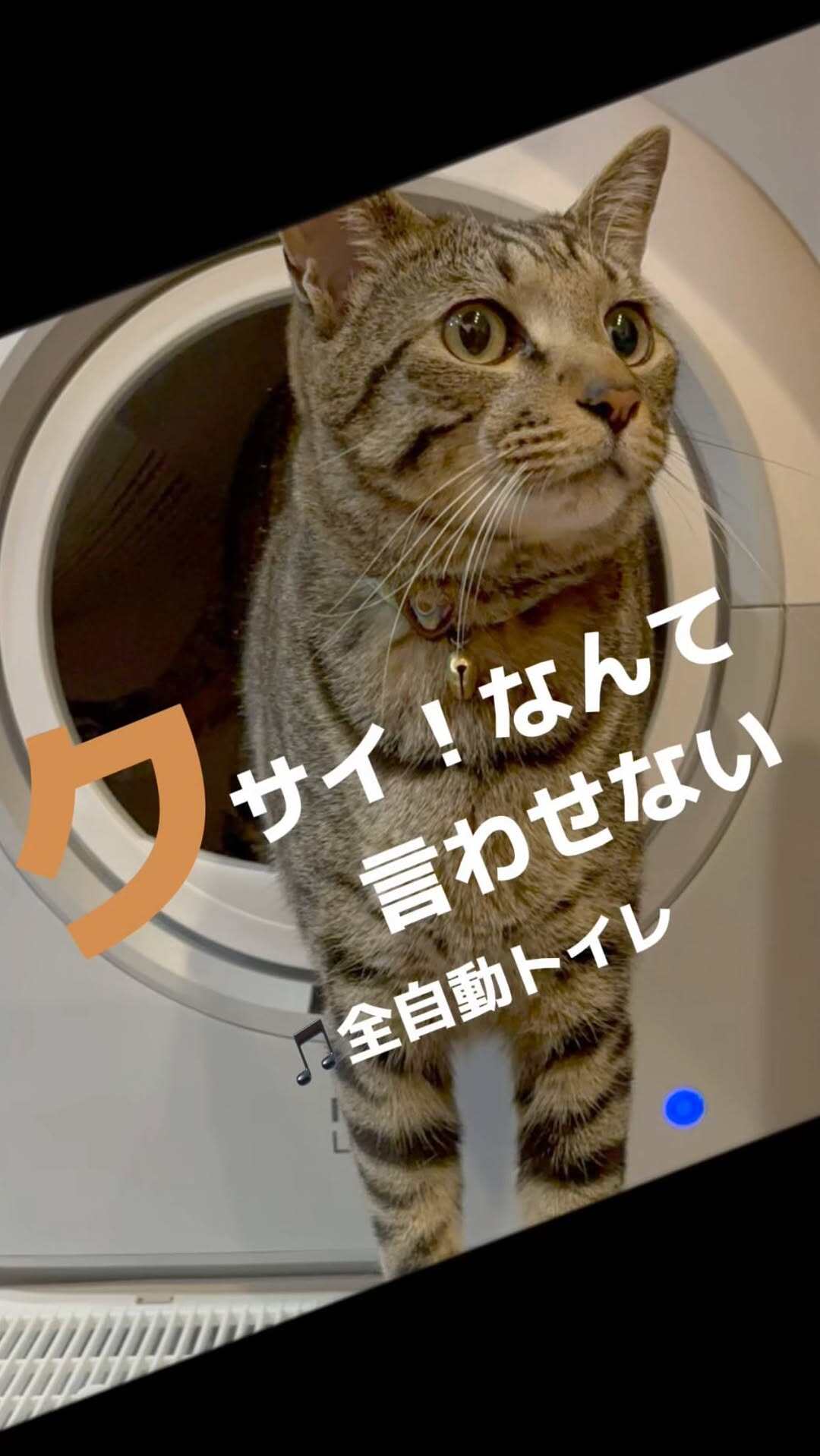 HHO LOVE 全自動猫トイレ イヤな猫ウンチ臭を徹底除菌】多頭飼いOKの全自動スマート猫