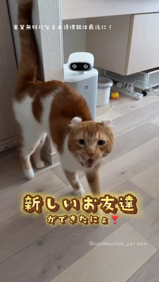 7sGood