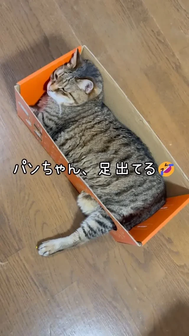 7sGood