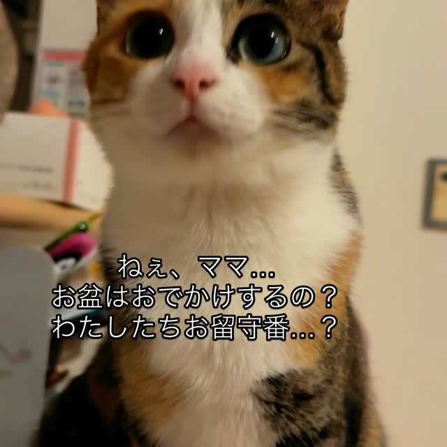 meifu_wa
