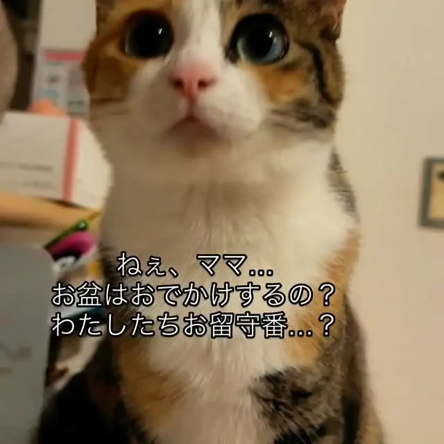 meifu_wa