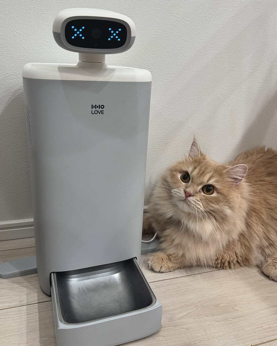 【新品未使用】自動給餌器 猫用 スマート見守りロボット 猫用スマート見守りロボット a自動給餌器 AIカメラ 自動給餌計画