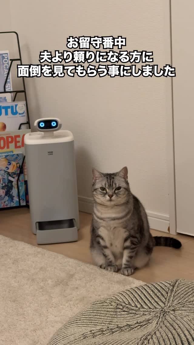 【新品未使用】自動給餌器 猫用 スマート見守りロボット Amazon | HHOLOVE O SITTER 猫用スマート見守りロボット 自動給餌器 AI