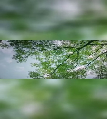 紹介動画