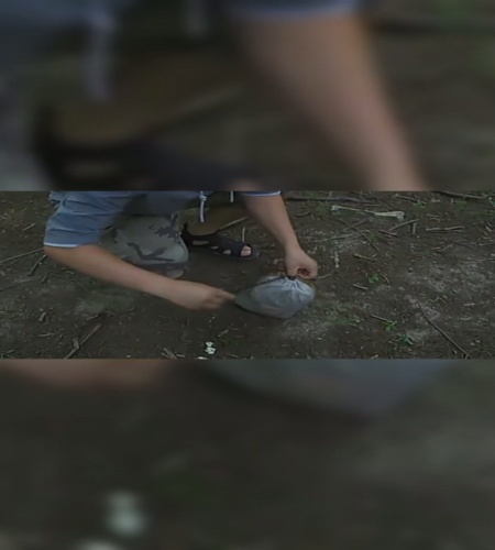 紹介動画