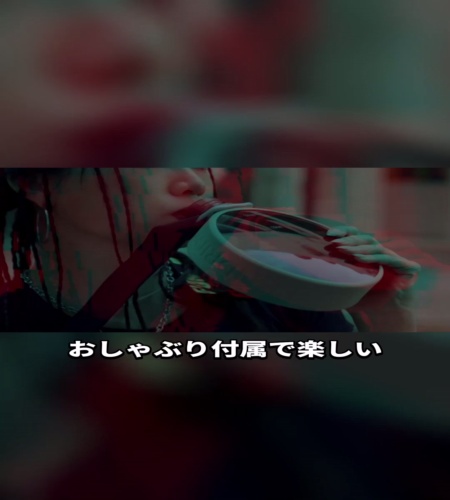 紹介動画