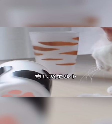紹介動画