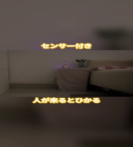 使ってみた！